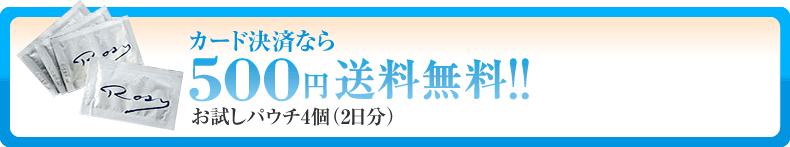 カード決済なら500円（送料無料）