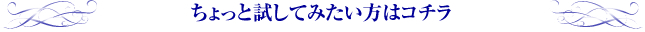 ちょっと試してみたい方はコチラ
