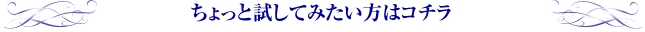 ちょっと試してみたい方はコチラ