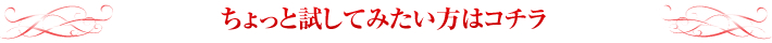 ちょっと試してみたい方はコチラ