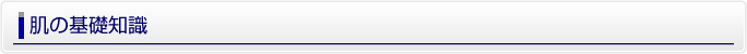 肌の基礎知識