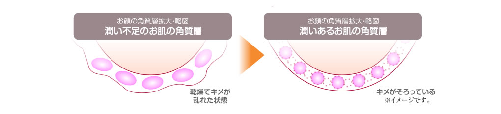 左図：お顔の角質層拡大・略図　潤い不足のお肌の角質層　乾燥でキメが乱れた状態　→　お顔の角質層拡大・略図　潤いあるお肌の角質層　キメがそろっている※イメージです。