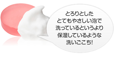 とろりとした
とてもやさしい泡で
洗っているというより
保湿しているような
洗いごこち！